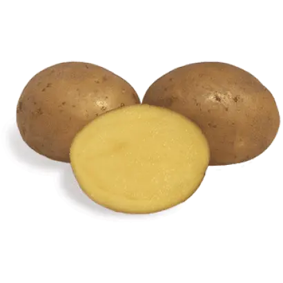 Allora / Аллора