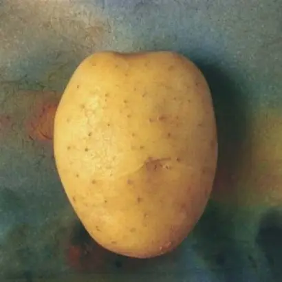 Albatros / Альбатрос