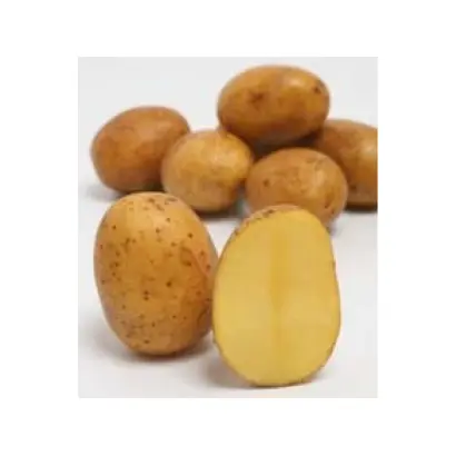 Anuschka / Анушка