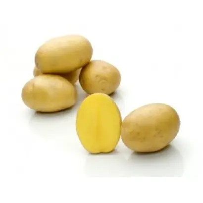 Belmonda / Бельмонда