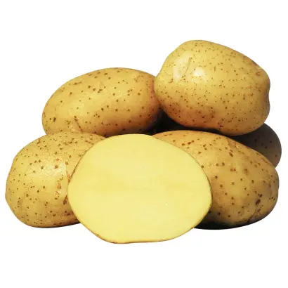 Vineta / Вінета