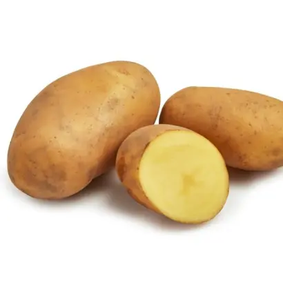 GWENNE / ГВЕННЕ