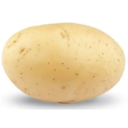 HERACLEA / Гераклея