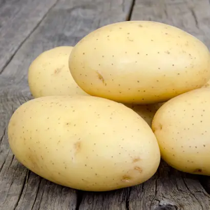 Granada / Гранада