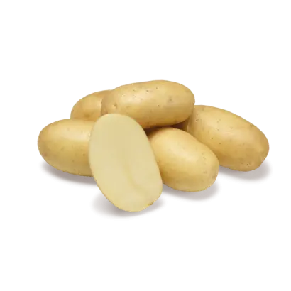 JOLENE / ДЖОЛІН