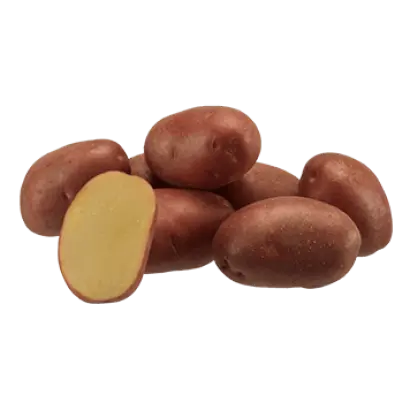 Evolution / Еволюшн