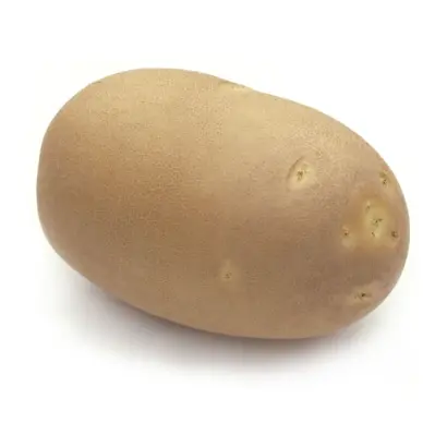 Innovator / Інноватор