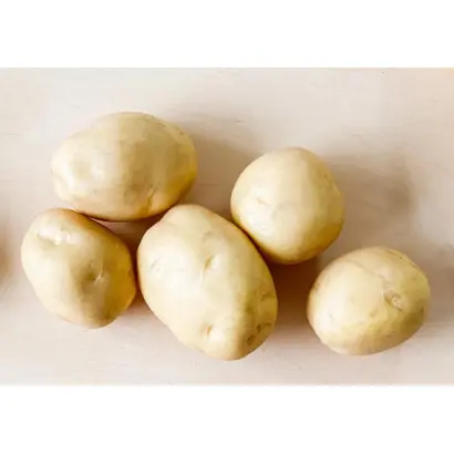 Karelia / Карелія