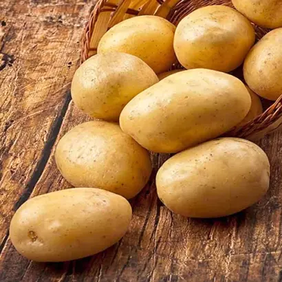 Сarrera / Каррера