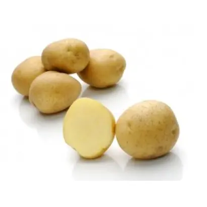 Caruso / Карузо