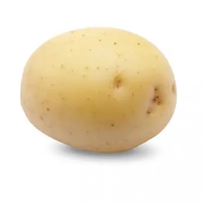 Colomba / Коломба