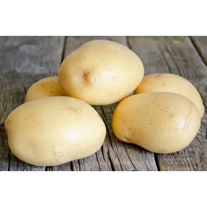 Connect / Коннект