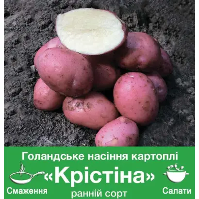 Cristina / Крістіна