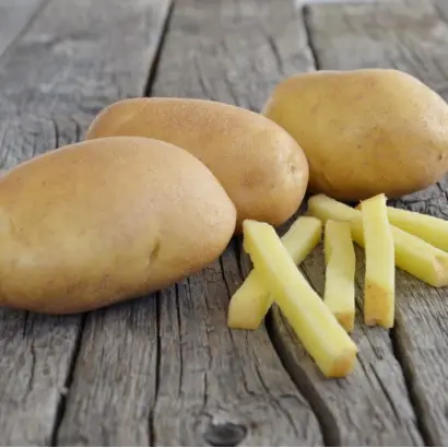 Lady Amarilla / Леді Амарілла