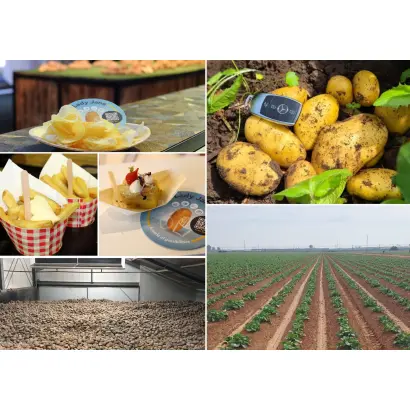 Lady Jane / Леді Джейн