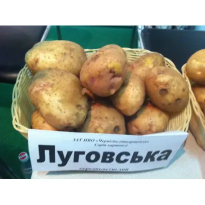 Луговской / Луговська