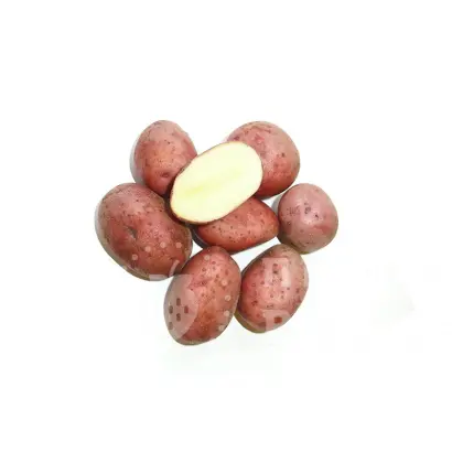 LUNEBA / ЛУНЕБА