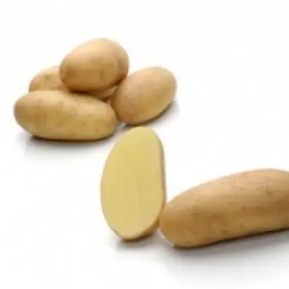 Ludmilla / Людмила