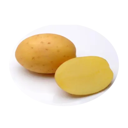 Madeira / Мадейра