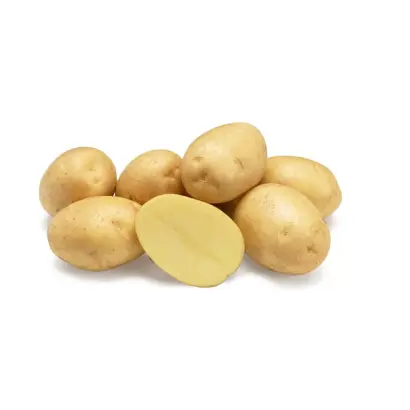 Madeleine / МАДЛЕН