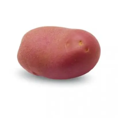 Memphis / Мемфіс