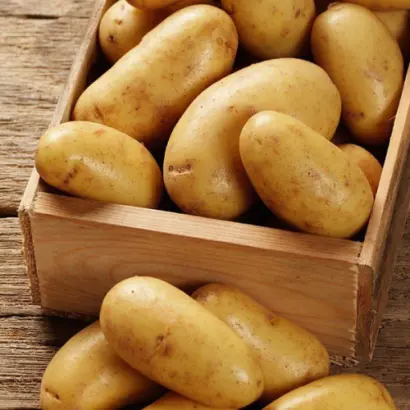 Miranda / Міранда