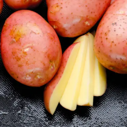 Mozart / Моцарт