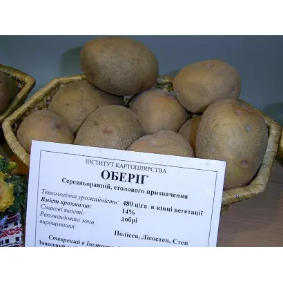 Оберіг
