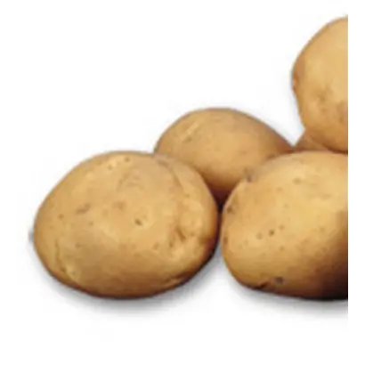 Ольвия / Ольвія