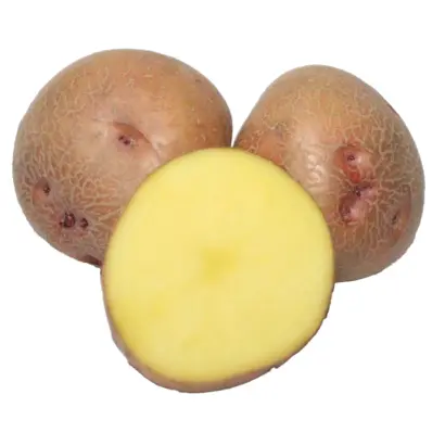 Повинь / Повінь