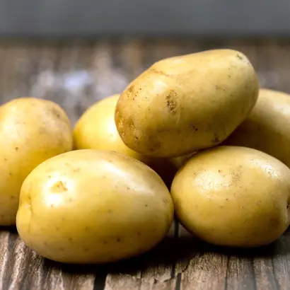 Pondus / Пондус