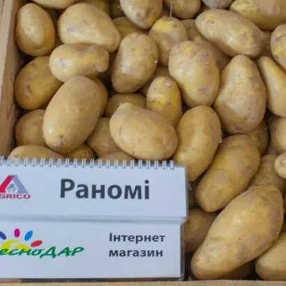 RANOMI / РАНОМІ