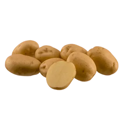 Riviera / Рів'єра