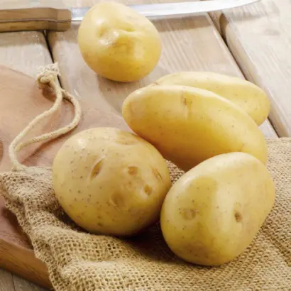 Sunshine / Саншайн