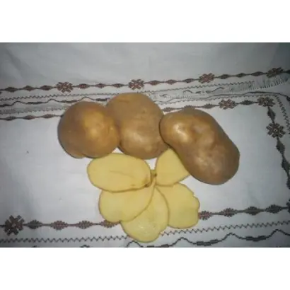 Свалявська