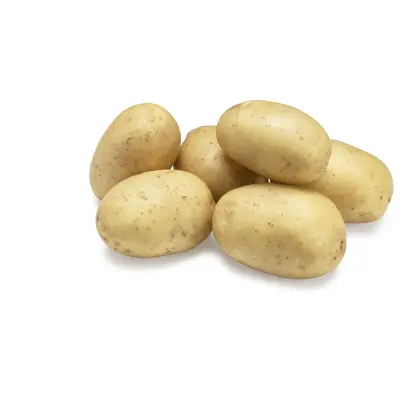 SPECTRA / СПЕКТРА