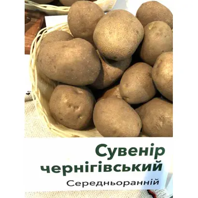 Сувенір чернігівський