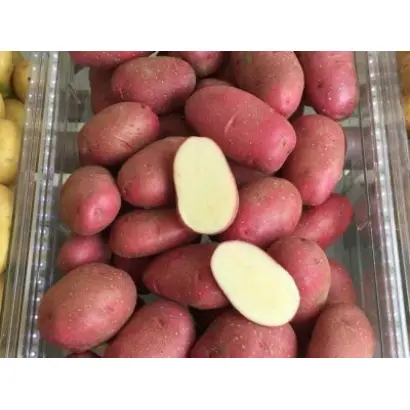 Tornado / Торнадо