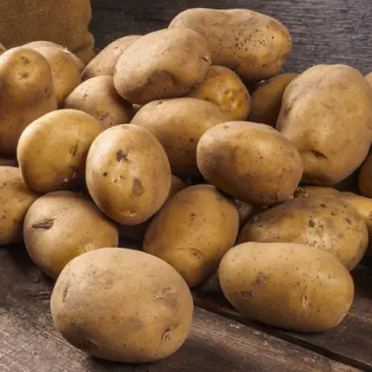 Fabula / Фабула