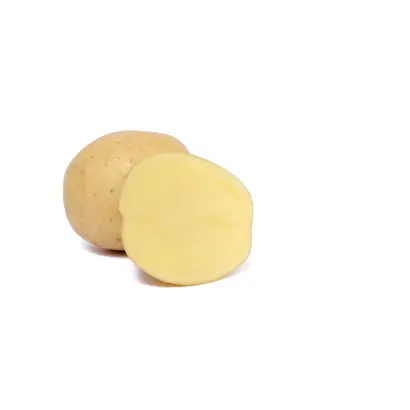 FAVOLA / ФАВОЛА