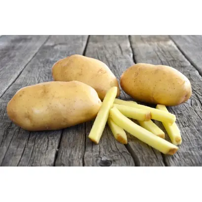 FONTANE / ФОНТАНЕ