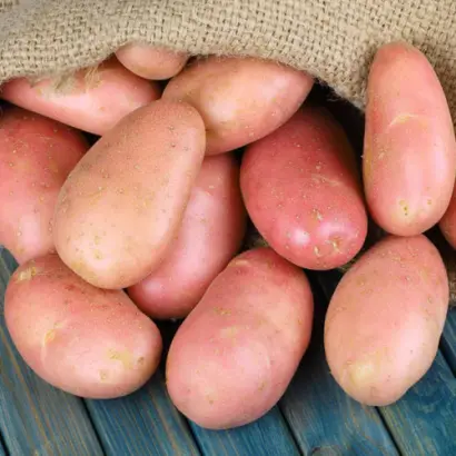 Asterix / Астерікс