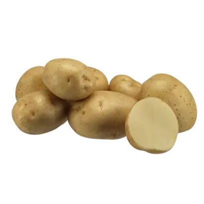 VOLARE / ВОЛАРЕ