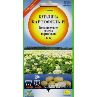 Catalina F1 / Каталіна F1