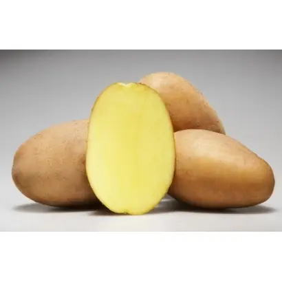 Labadia / Лабадія