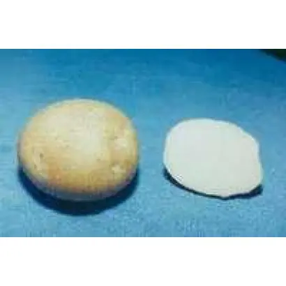 Малинська біла