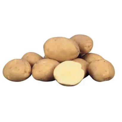 Marlen / Марлен