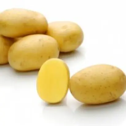 Natascha / Наташа