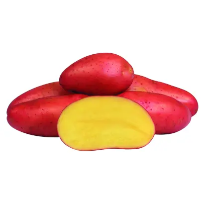 Red fantasy / Ред фентезі