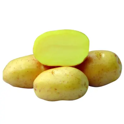 Roxana / Роксана